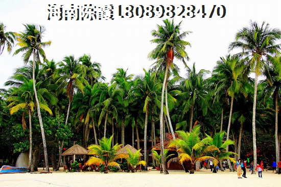 海南北方人到海南买房过冬好吗