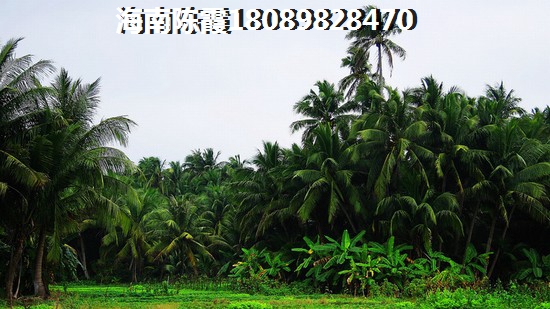 淮安淮安金奥中心位置怎么样