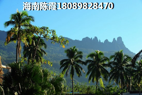 海南自贸港房产纸不纸得touzi