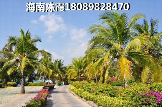 海南2024买房买房资格！2