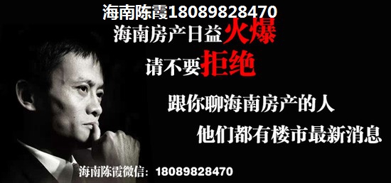 海南岛怎么买房二